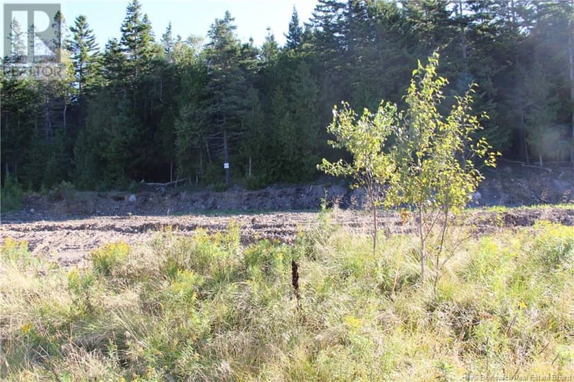 00 Drury Cove Road — photo 5 of 8