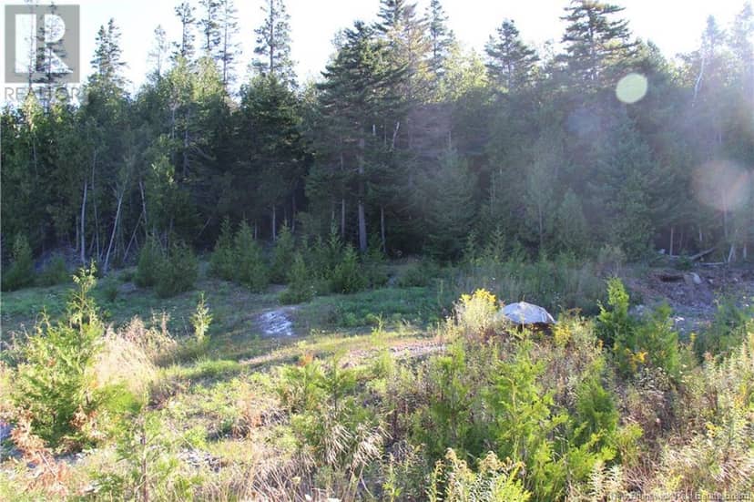 00 Drury Cove Road — photo 8 of 8