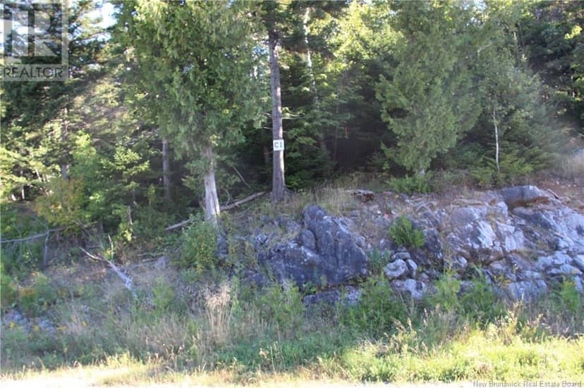 00 Drury Cove Road — photo 2 of 9