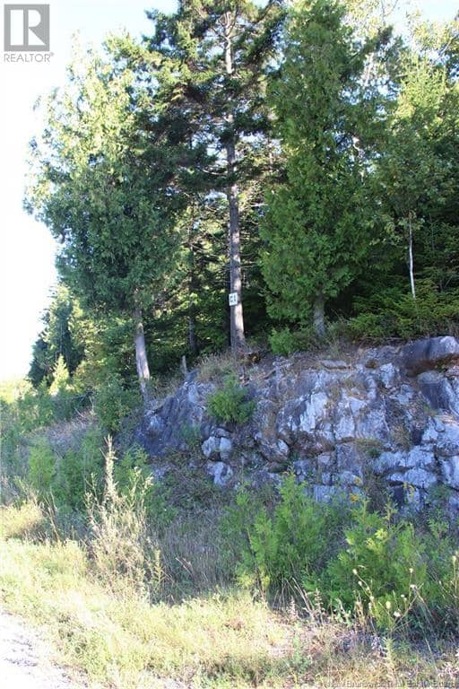 00 Drury Cove Road — photo 3 of 9