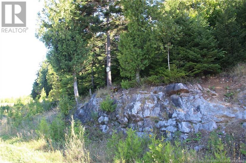 00 Drury Cove Road — photo 4 of 9