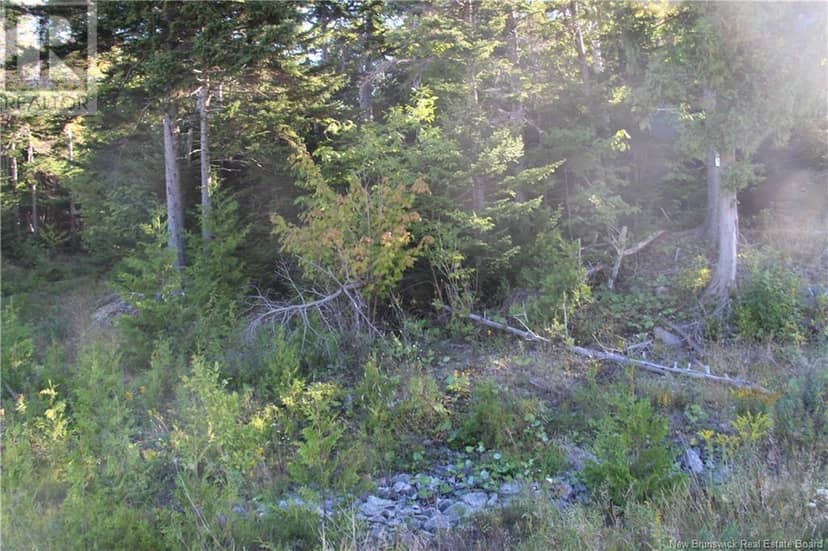 00 Drury Cove Road — photo 6 of 9