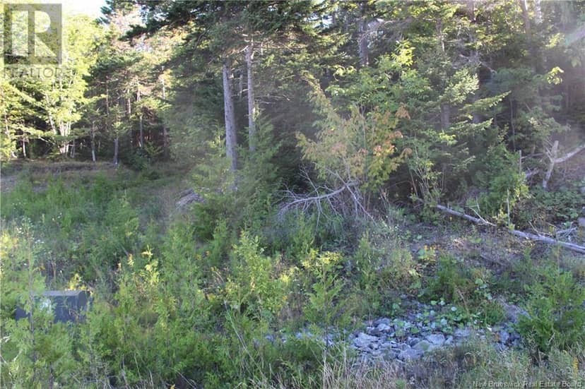 00 Drury Cove Road — photo 7 of 9