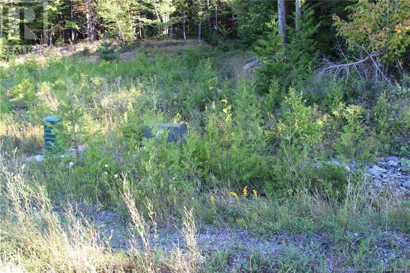 00 Drury Cove Road — photo 8 of 9