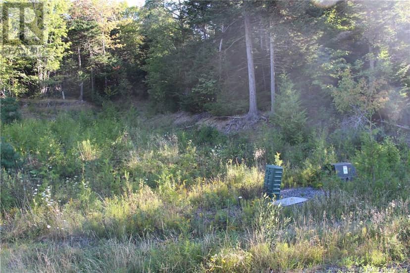 00 Drury Cove Road — photo 9 of 9