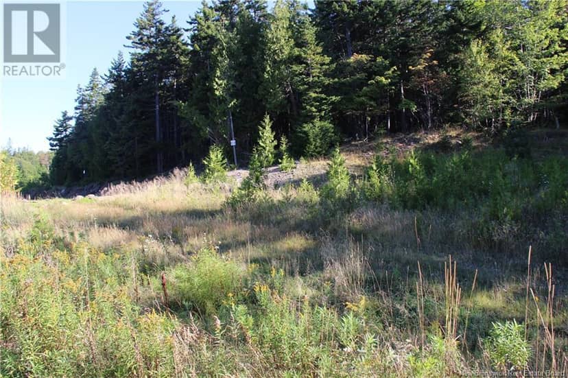 00 Drury Cove Road — photo 1 of 6