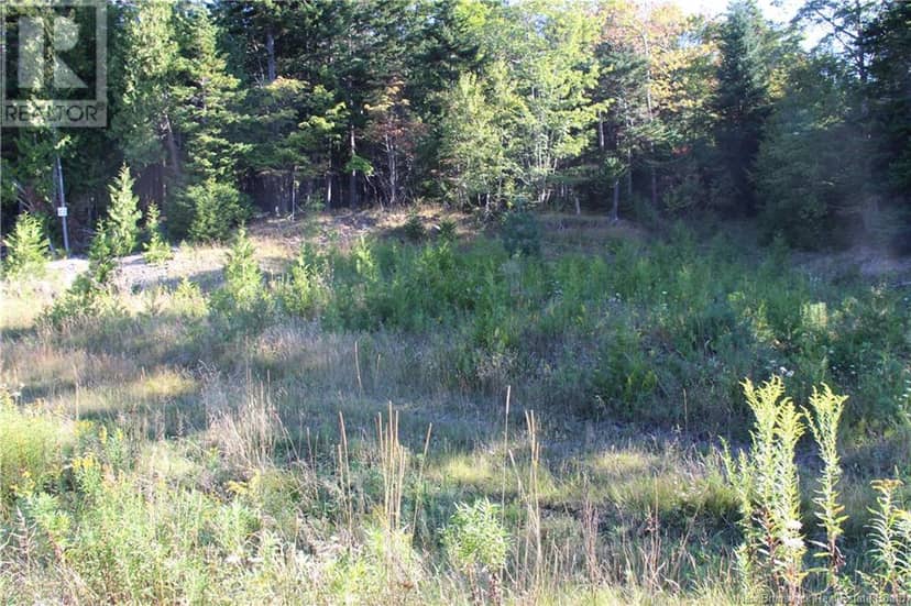 00 Drury Cove Road — photo 2 of 6