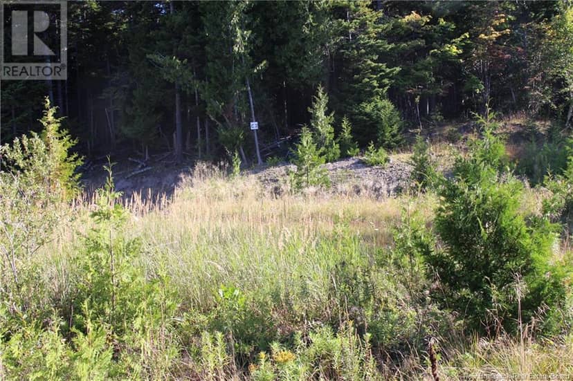 00 Drury Cove Road — photo 3 of 6