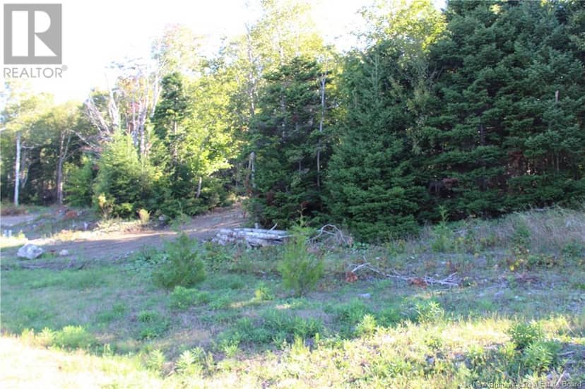 00 Shoreline Drive — photo 2 of 6