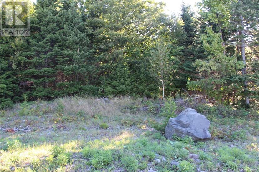 00 Shoreline Drive — photo 3 of 6