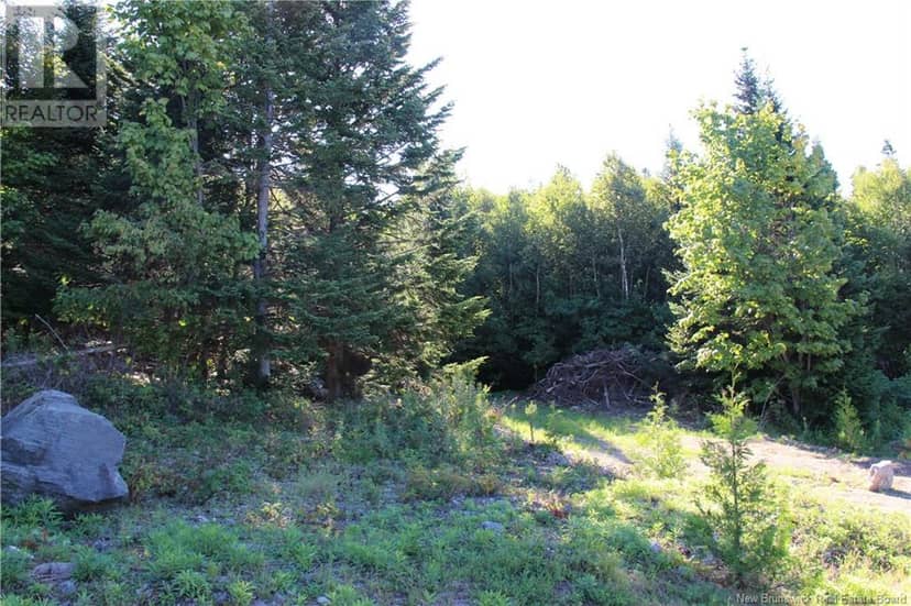 00 Shoreline Drive — photo 4 of 6