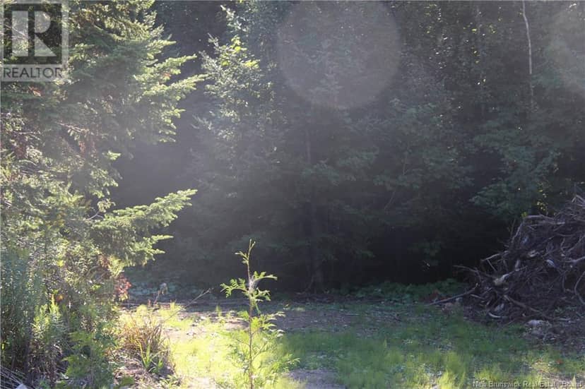 00 Shoreline Drive — photo 5 of 6