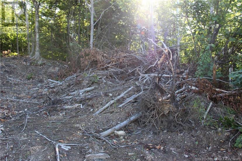 00 Shoreline Drive — photo 10 of 14