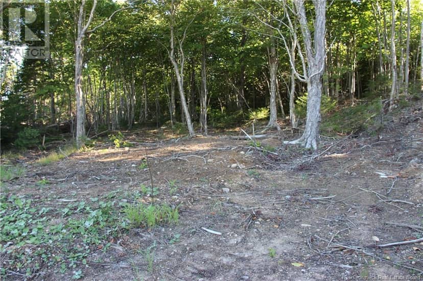 00 Shoreline Drive — photo 11 of 14