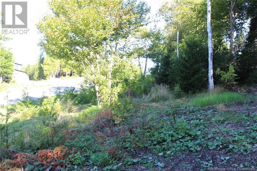 00 Shoreline Drive — photo 12 of 14