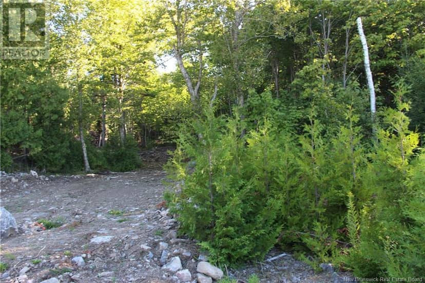 00 Shoreline Drive — photo 3 of 14