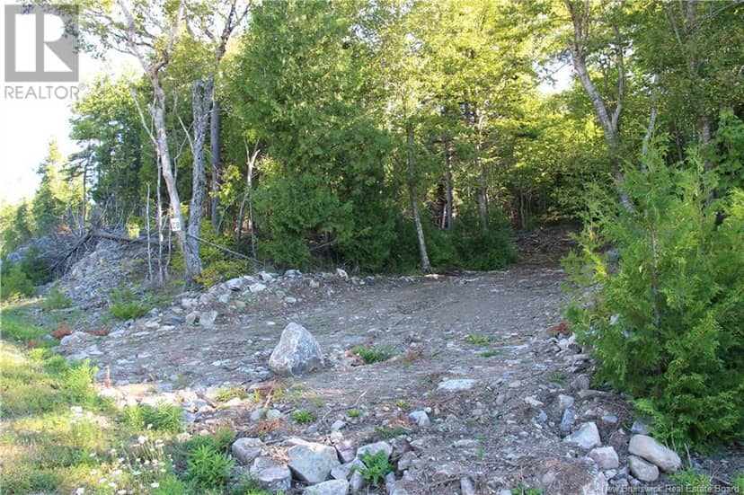00 Shoreline Drive — photo 4 of 14