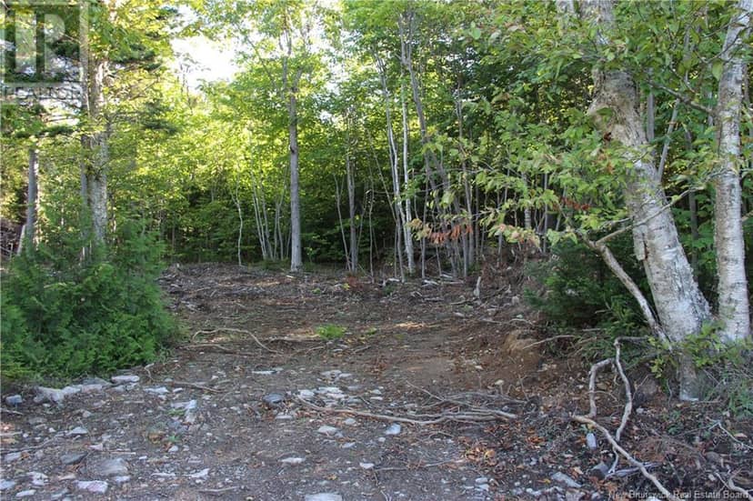 00 Shoreline Drive — photo 5 of 14