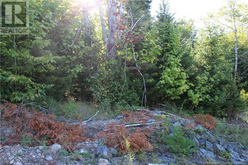 00 Shoreline Drive — photo 8 of 14