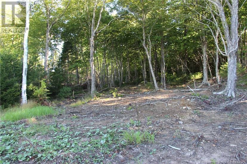 00 Shoreline Drive — photo 9 of 14
