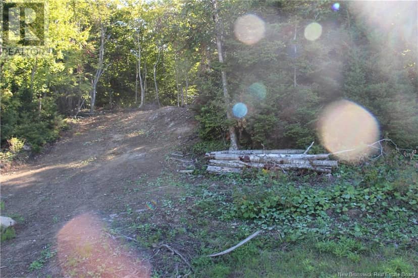 00 Shoreline Drive — photo 4 of 8