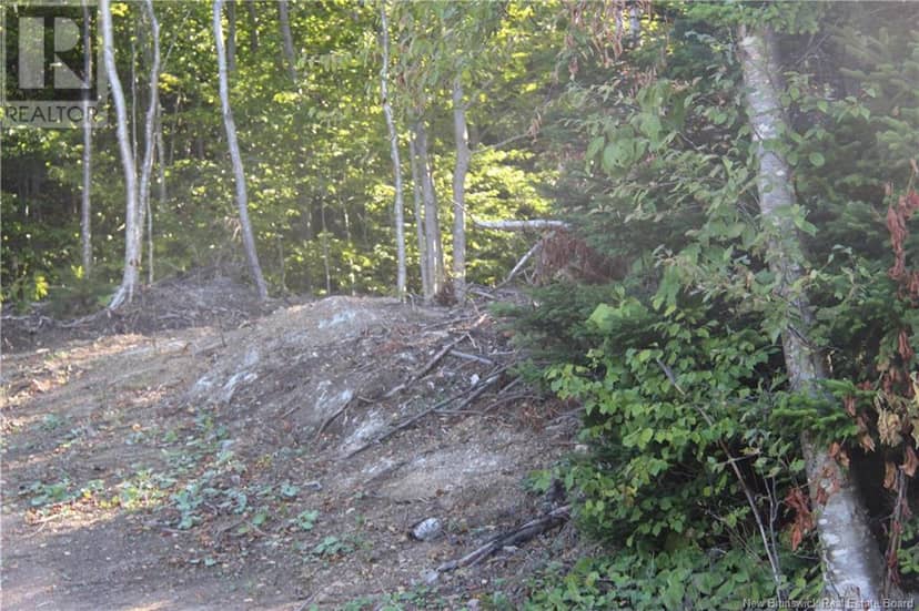00 Shoreline Drive — photo 7 of 8