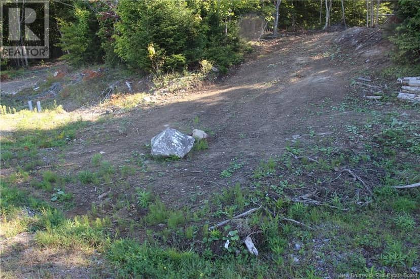 00 Shoreline Drive — photo 5 of 8