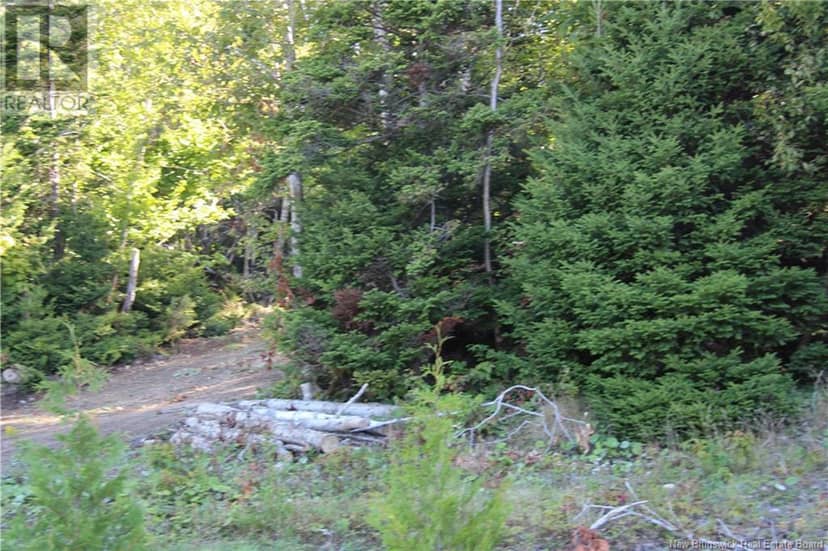 00 Shoreline Drive — photo 8 of 8