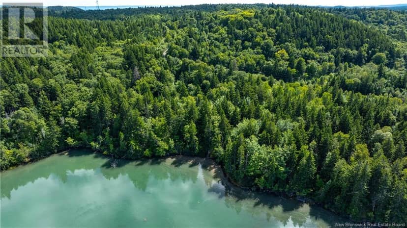 Lot 85-55 Bayview Drive, Campobello Island, photo 4