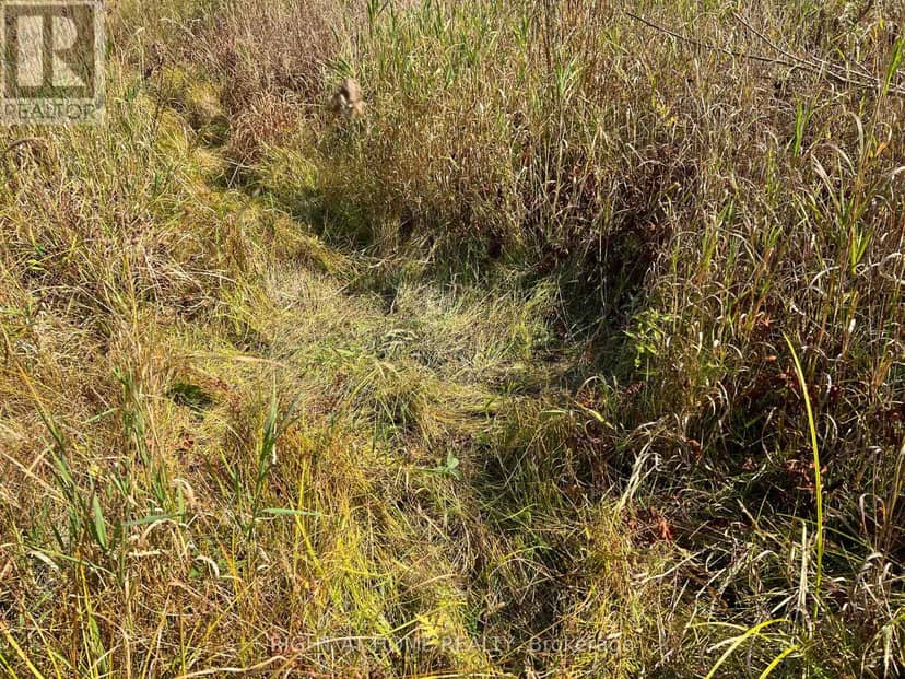 0 Laplage Road, West Nipissing, photo 6