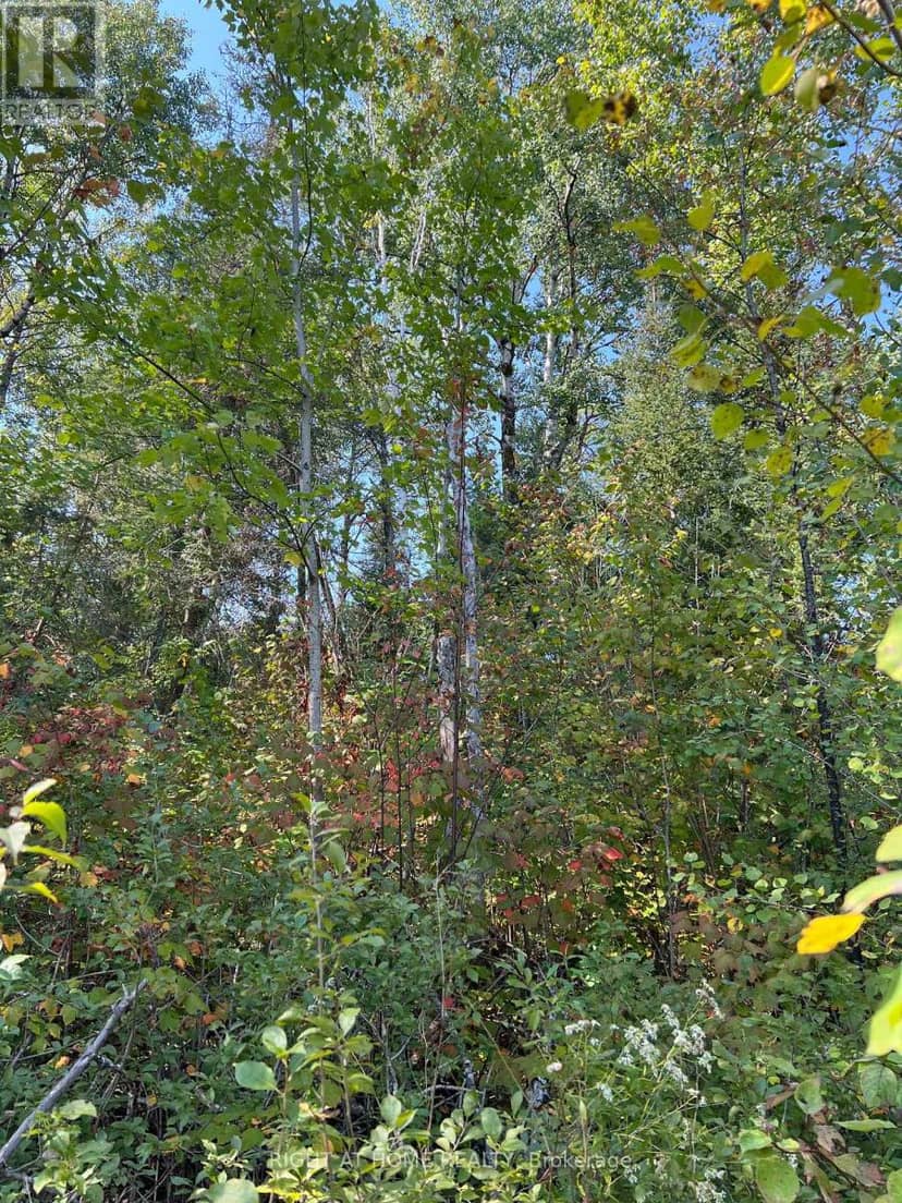 0 Laplage Road, West Nipissing, photo 7