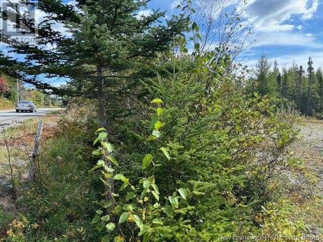 454 St. Martin's Road — photo 17 of 20