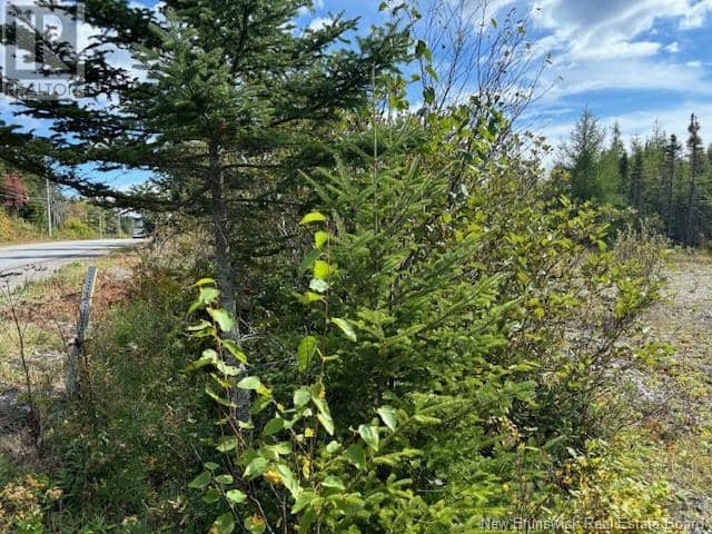 454 St. Martin's Road — photo 18 of 20