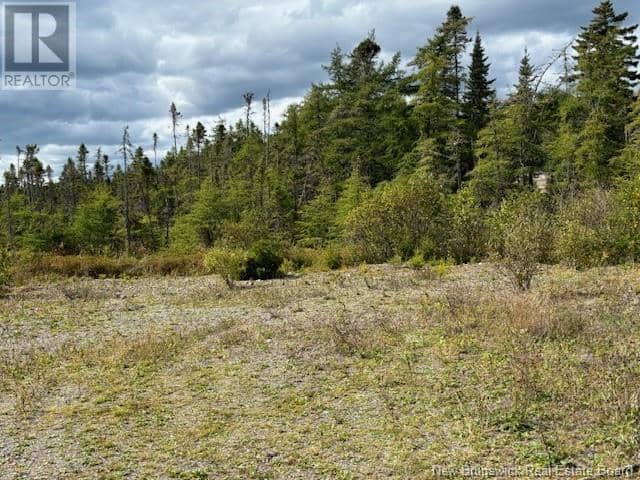 454 St. Martin's Road — photo 2 of 20