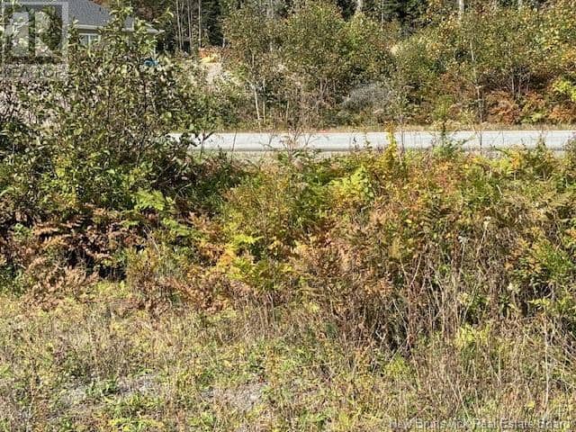 454 St. Martin's Road — photo 8 of 20