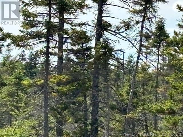 454 St. Martin's Road — photo 9 of 20