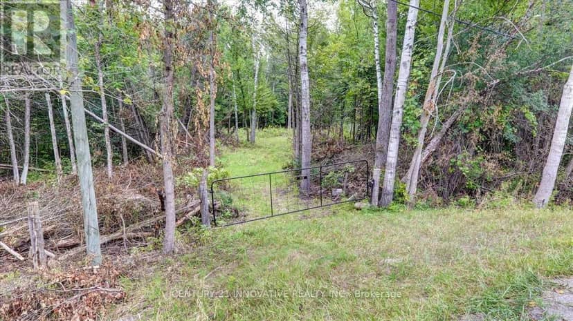 791 Mount Horeb Road, Kawartha Lakes, photo 3