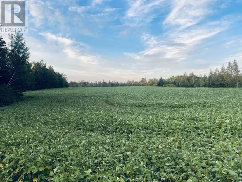 Lot Seven Mile Road, Route 4 — photo 1 of 40