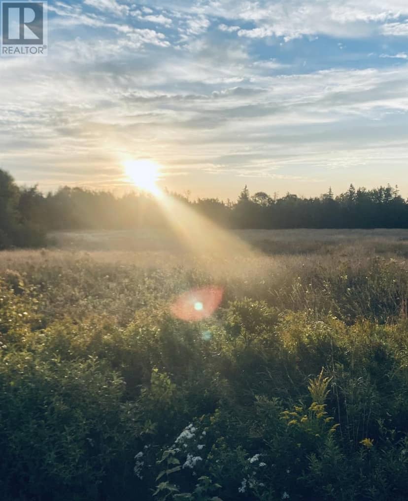 Lot Seven Mile Road, Route 4 — photo 11 of 40