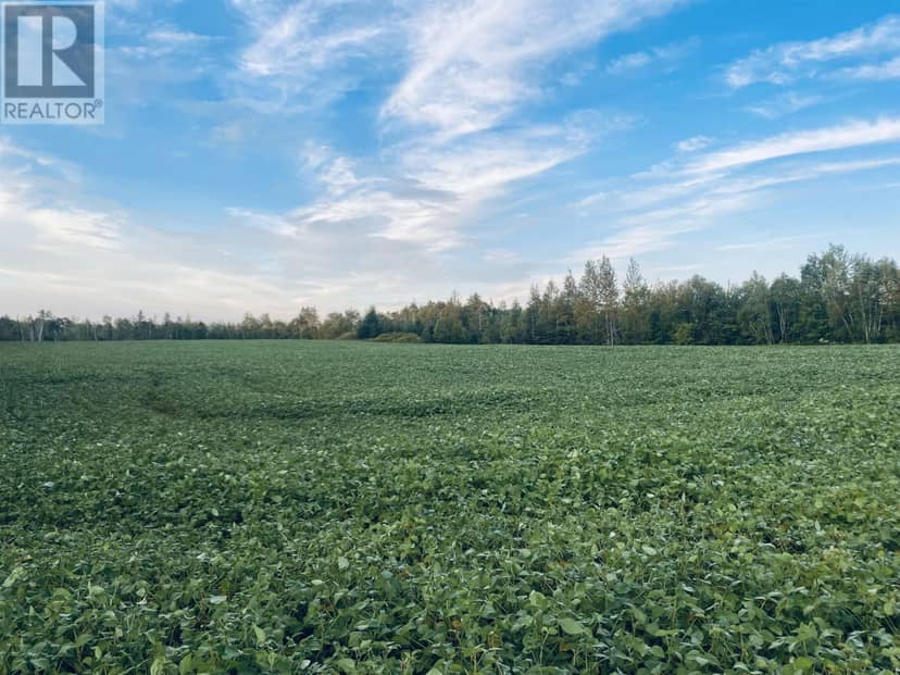 Lot Seven Mile Road, Route 4 — photo 2 of 40