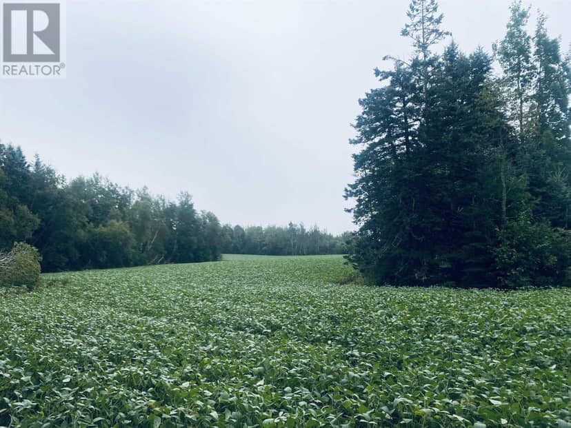 Lot Seven Mile Road, Route 4 — photo 23 of 40