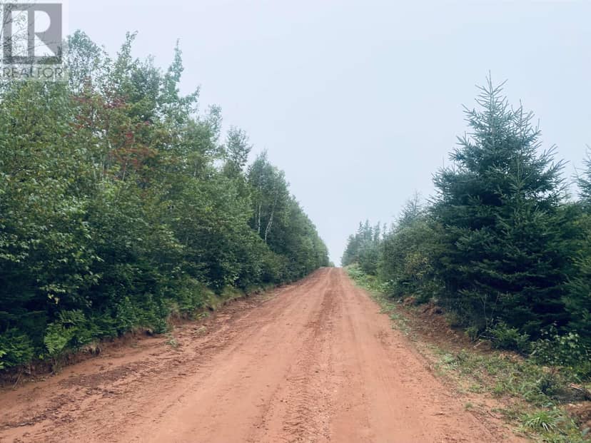 Lot Seven Mile Road, Route 4 — photo 24 of 40