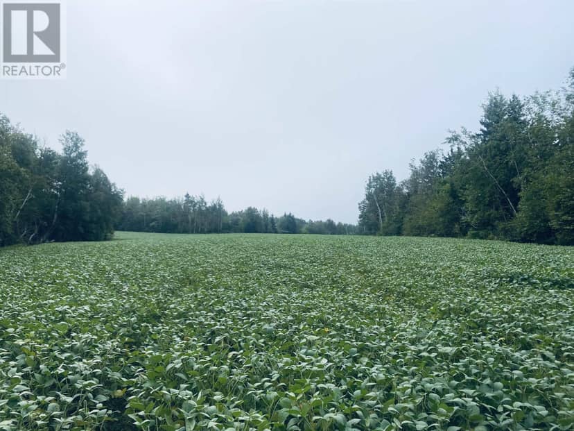 Lot Seven Mile Road, Route 4 — photo 25 of 40