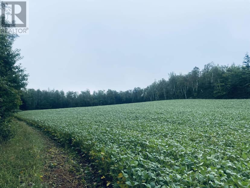 Lot Seven Mile Road, Route 4 — photo 26 of 40