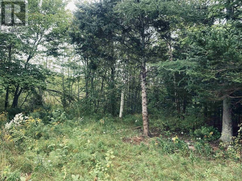 Lot Seven Mile Road, Route 4 — photo 29 of 40