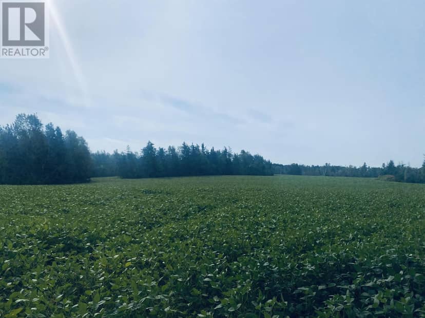Lot Seven Mile Road, Route 4 — photo 3 of 40