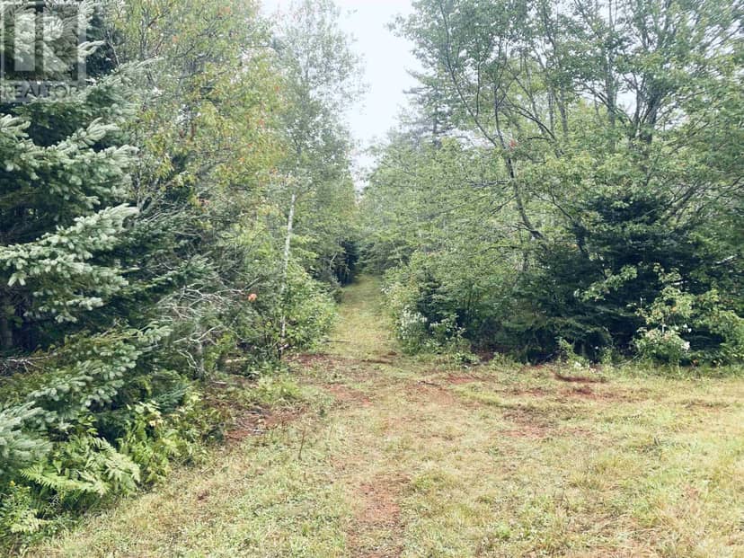 Lot Seven Mile Road, Route 4 — photo 31 of 40