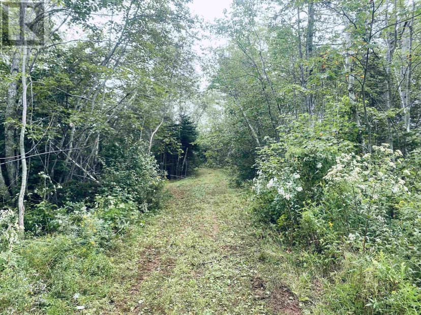 Lot Seven Mile Road, Route 4 — photo 33 of 40