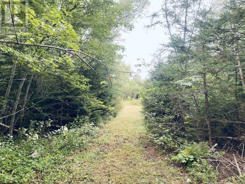 Lot Seven Mile Road, Route 4 — photo 34 of 40