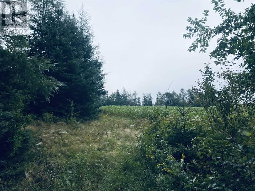 Lot Seven Mile Road, Route 4 — photo 35 of 40